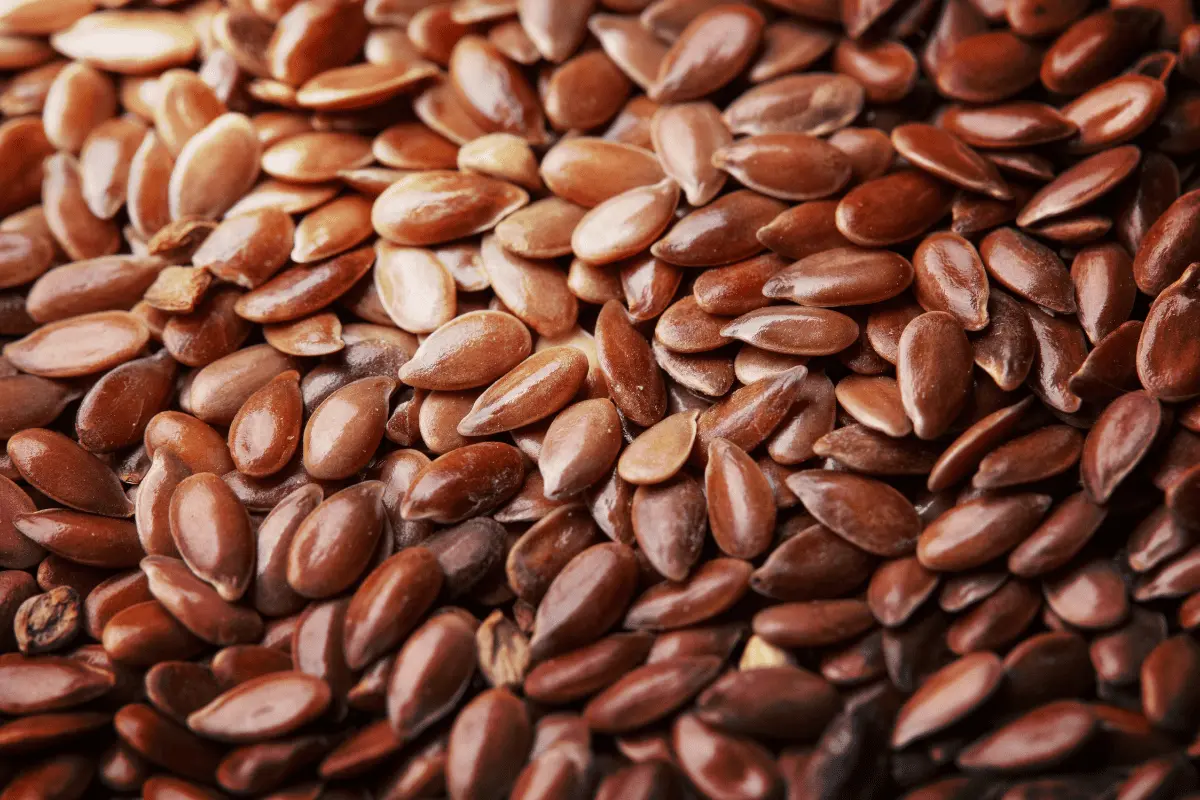 Flax-seeds