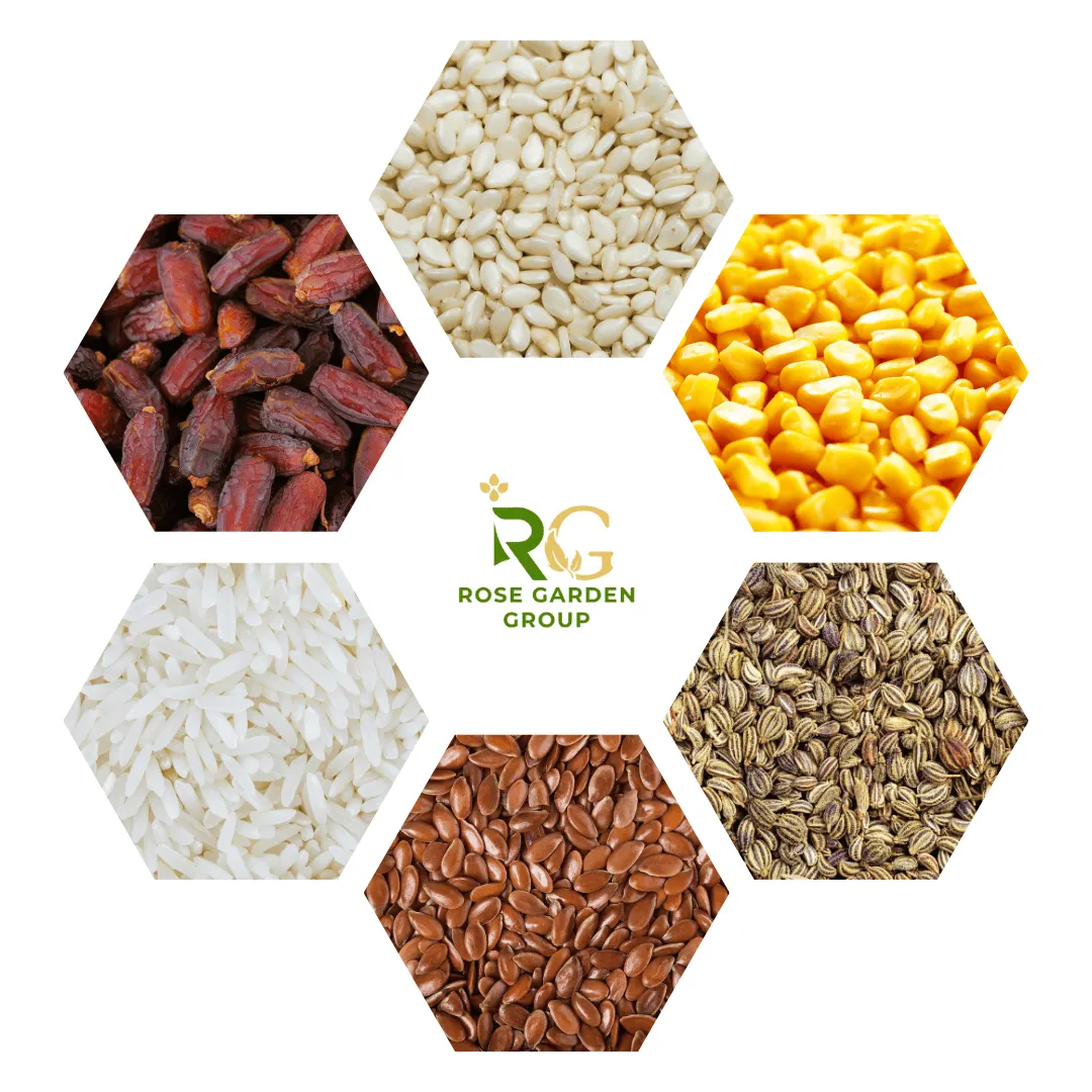Seeds-and-food-grains
