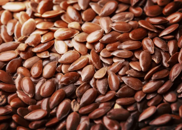 Flax-seeds