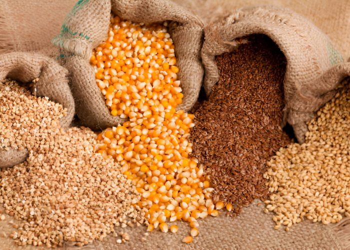 Downloader-La-267019