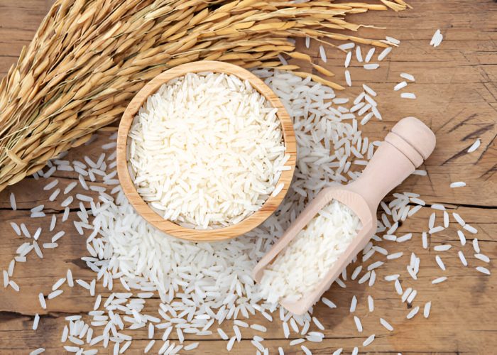 Downloader-La-520918