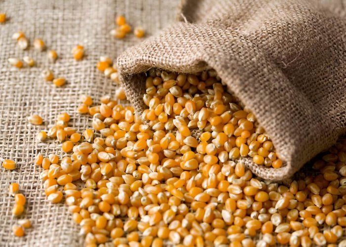 corn