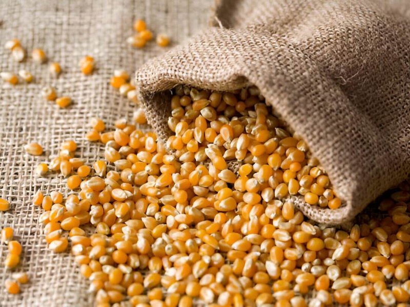 corn