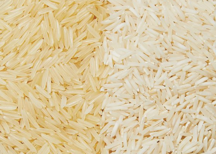 Rice