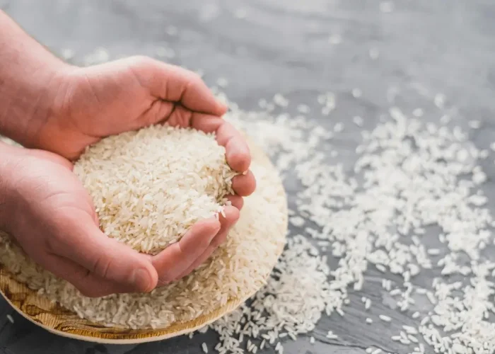 Rice